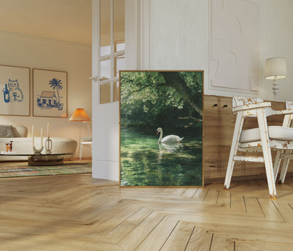 Póster del lago de los cisnes blancos serenos