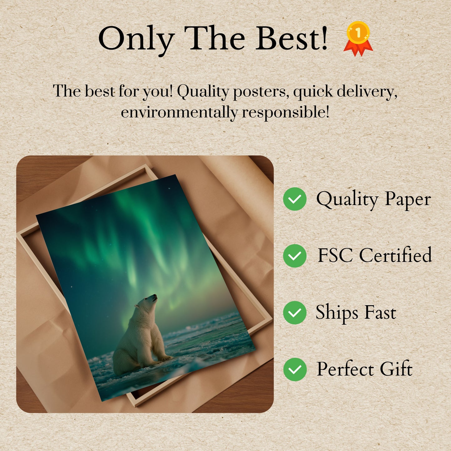 Arctic Serenity Northern Lights Poster