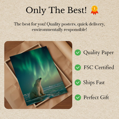 Arctic Serenity Northern Lights Poster