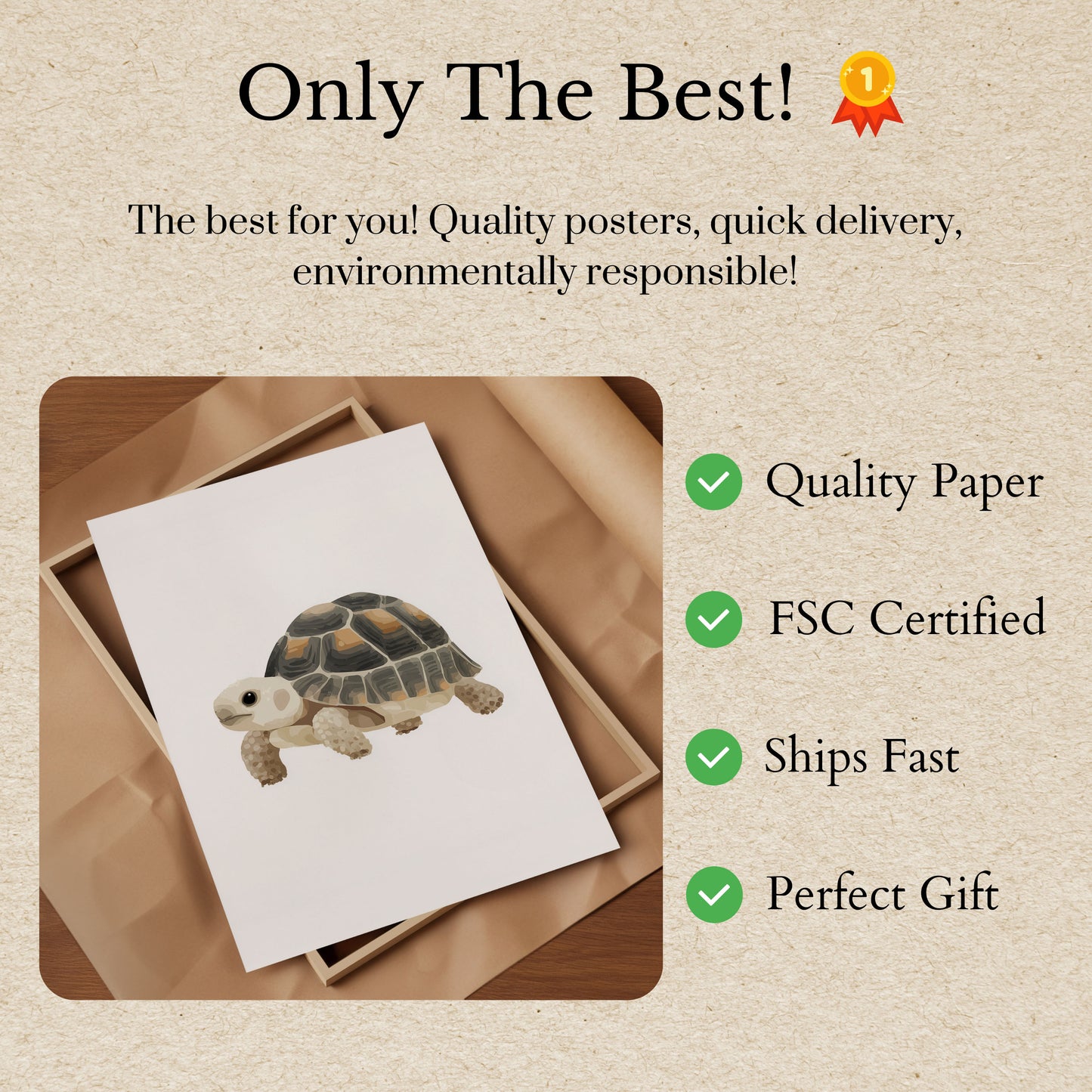 Adorable Tortoise Illustrated Poster