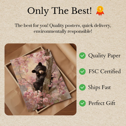 Black Bear in Cherry Blossoms Poster