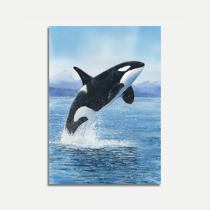 Majestic Orca Ocean Leap Poster