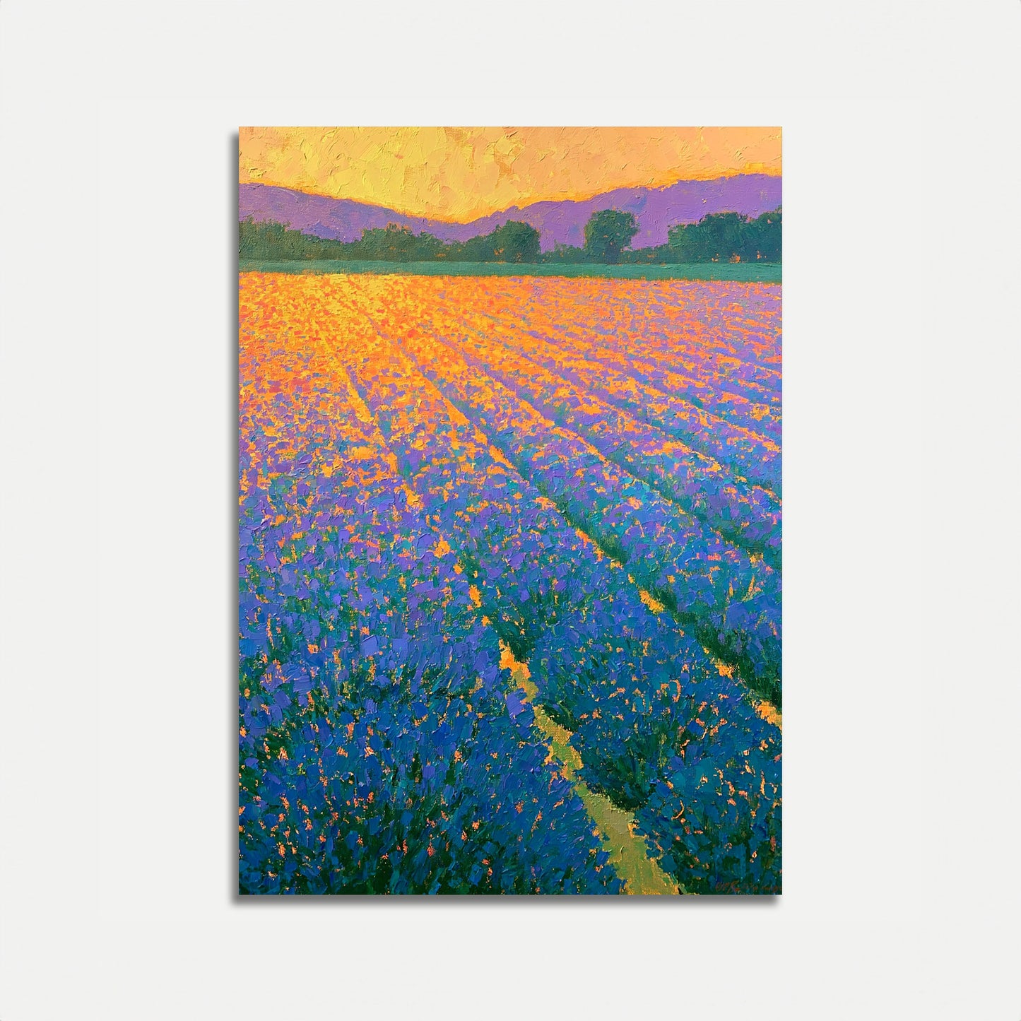 Poster Campo di Lavanda al Tramonto