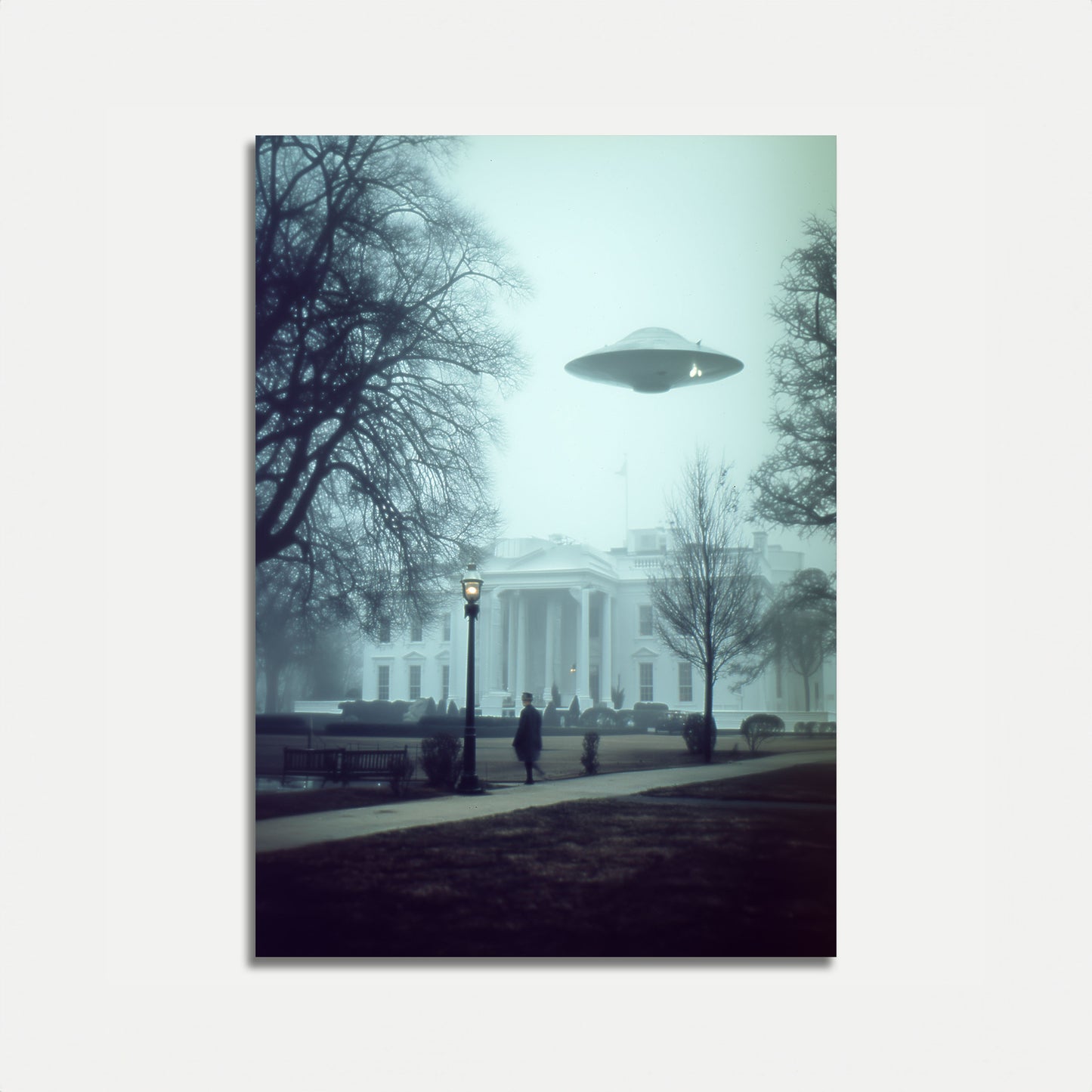 UFO White House Encounter Poster