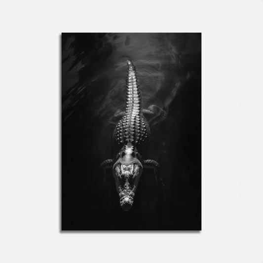 Póster de Depredador de Dark Waters