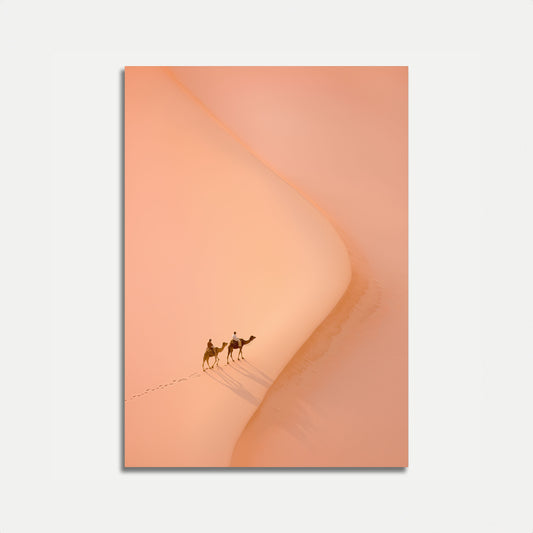 Desert Journey Camel Tracks Poster