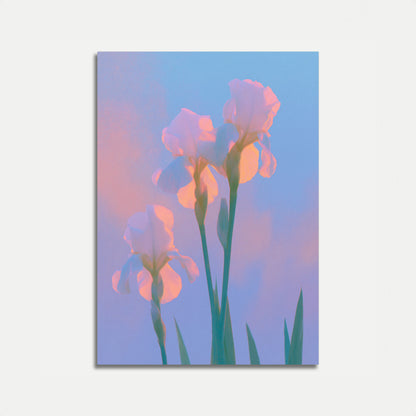 Iris Flowers at Sunset Poster