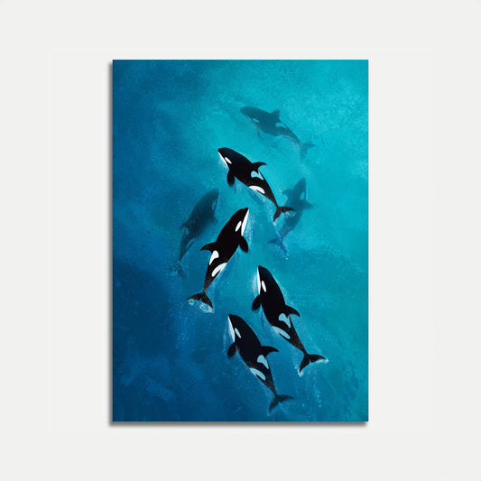 Póster del Viaje Oceánico de la Manada de Orcas