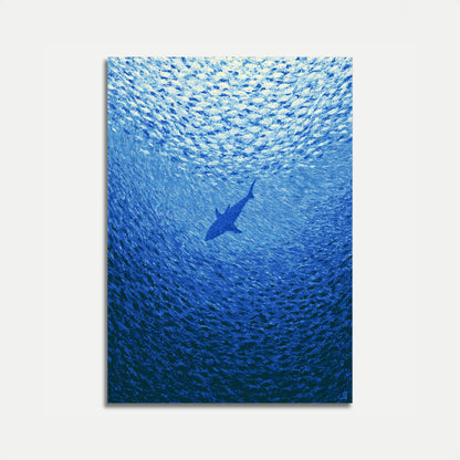 Shark Swimming in Ocean Poster