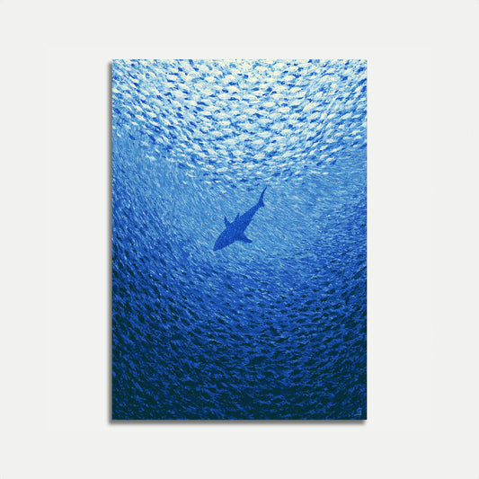 Shark Swimming in Ocean Poster