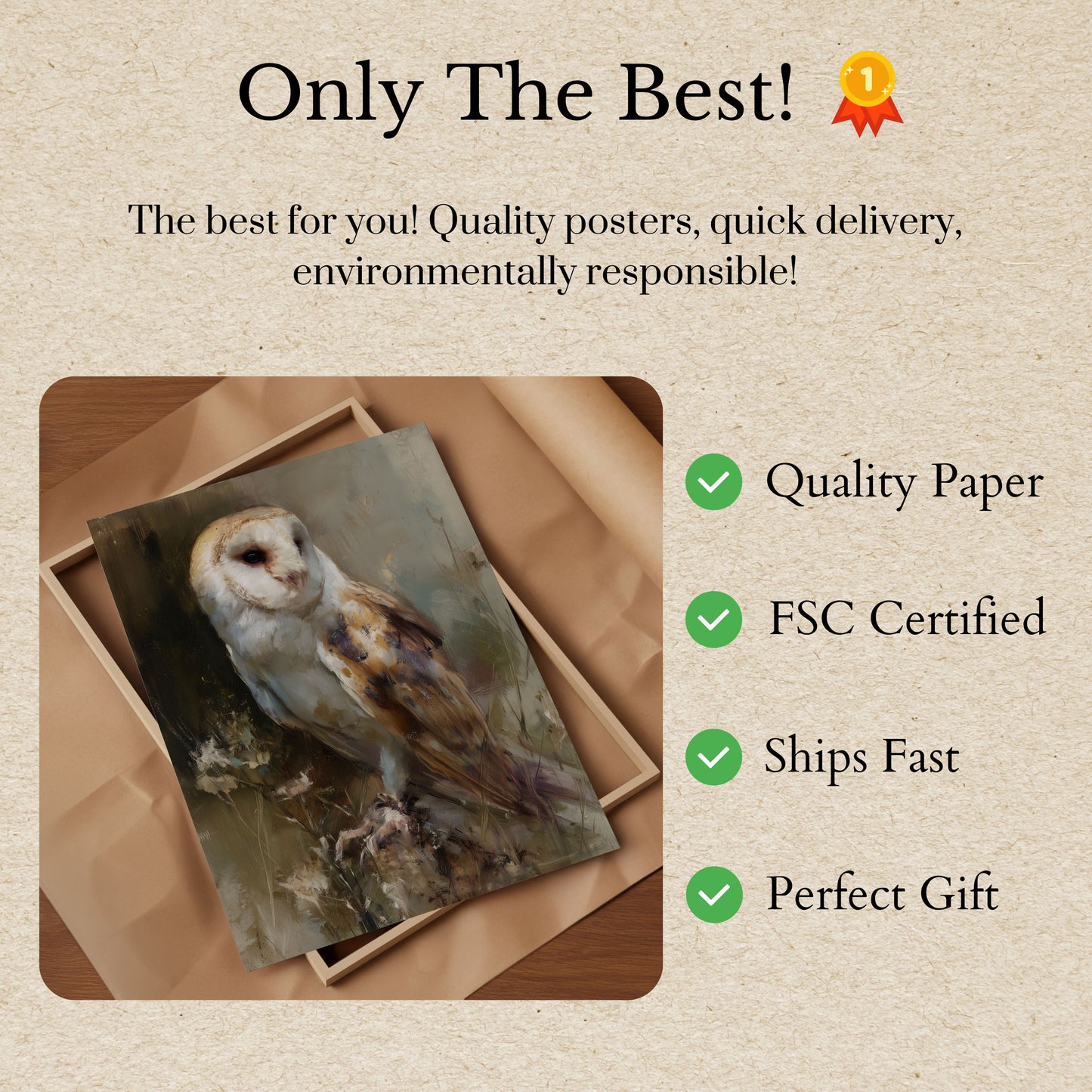 Barn Owl Nature Poster