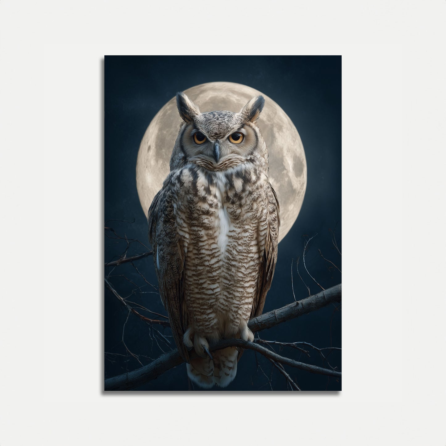 Poster della Maestosa Civetta al Chiaro di Luna