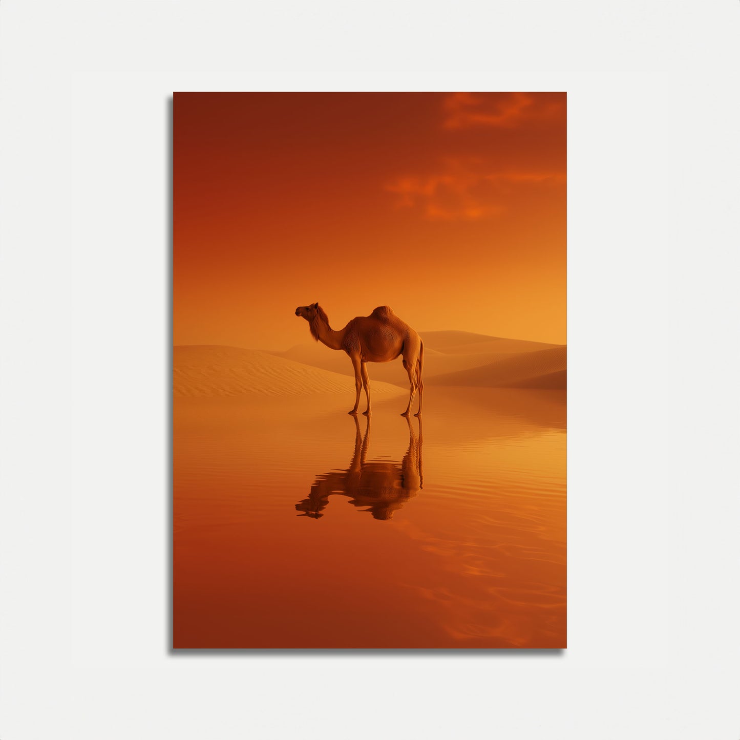 Desert Camel Golden Reflection Poster