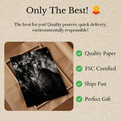 Majestic Cheetah Black and White Poster