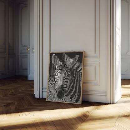 Póster de cebra en un entorno natural monocromático