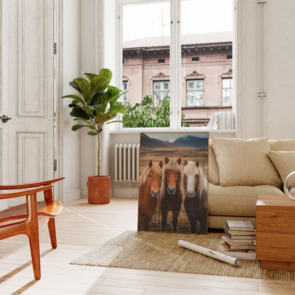 Majestic Icelandic Horses Poster