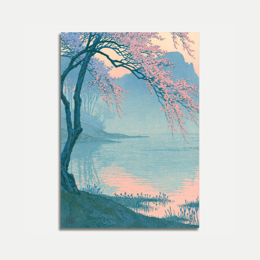 Cherry Blossom Lake Reflection Poster
