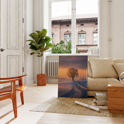Solitary Winter Tree Sunset Poster