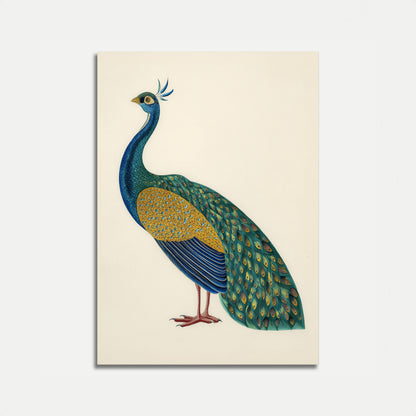 Majestic Blue Peacock Poster