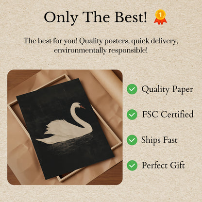 Elegant White Swan Poster