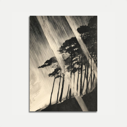 Windswept Trees in Storm Poster