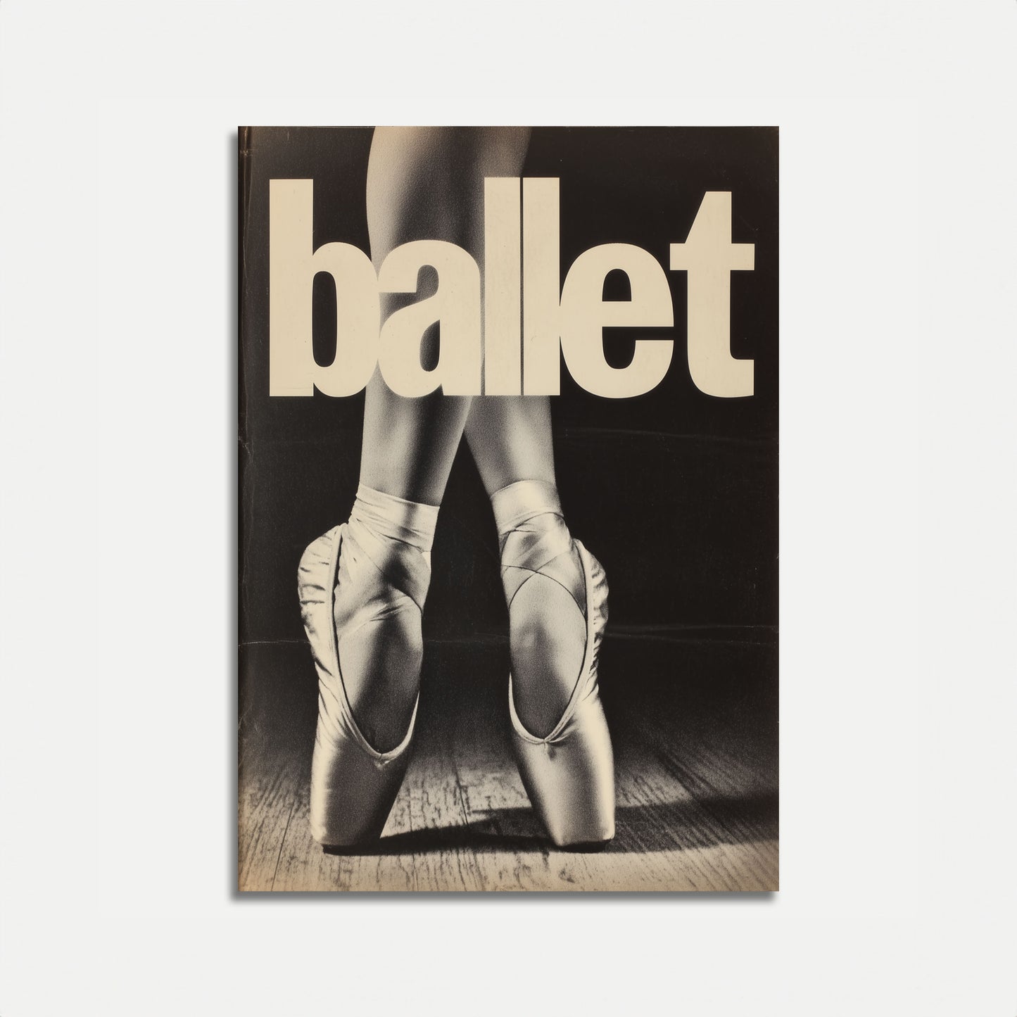 Ballettschuhe Poster