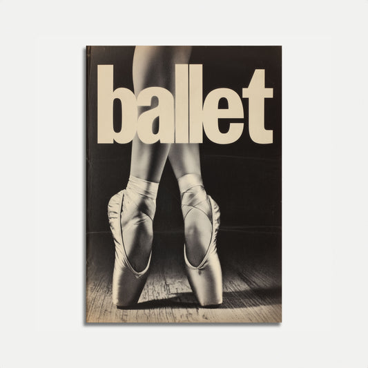 Balletdansschoenen Poster