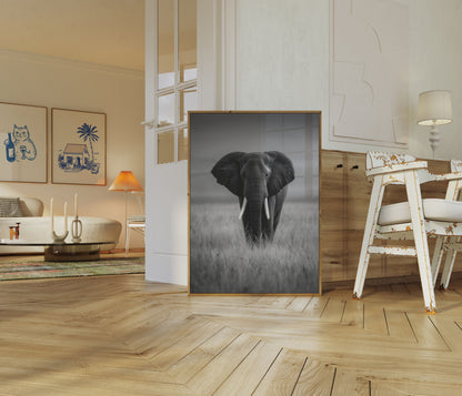 Majestic Elephant in Grasslands Poster