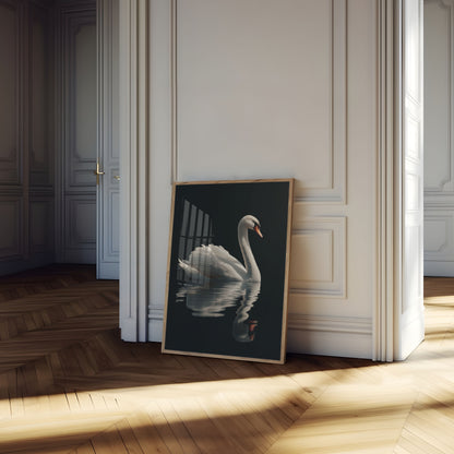 Elegant Svane Vandrefleksion Plakat