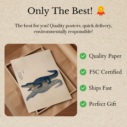 Póster con ilustración vintage de cocodrilo azul