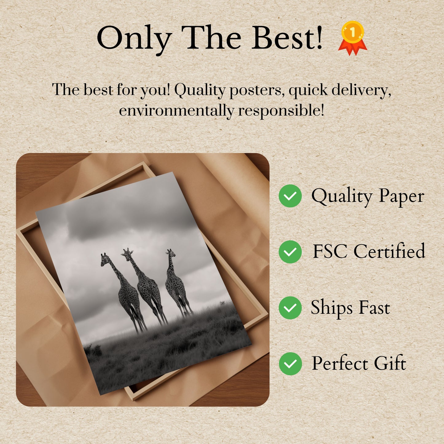 Three Giraffes Black and White Poster