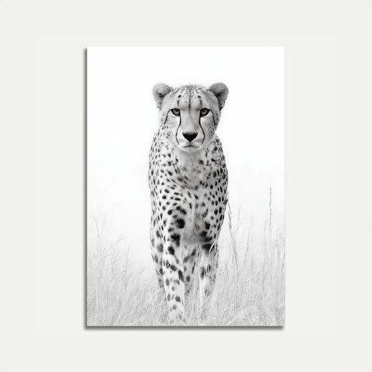 Póster de vida silvestre del guepardo feroz