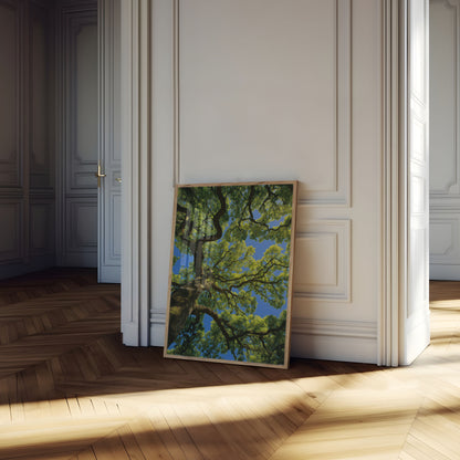 Majestic Tree Canopy Poster