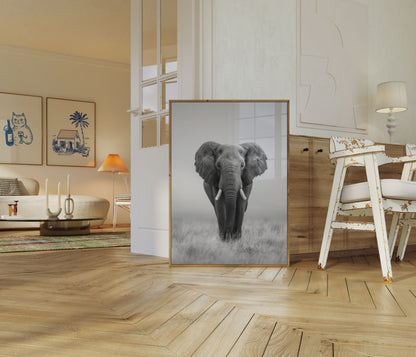 Majestic African Elephant Poster