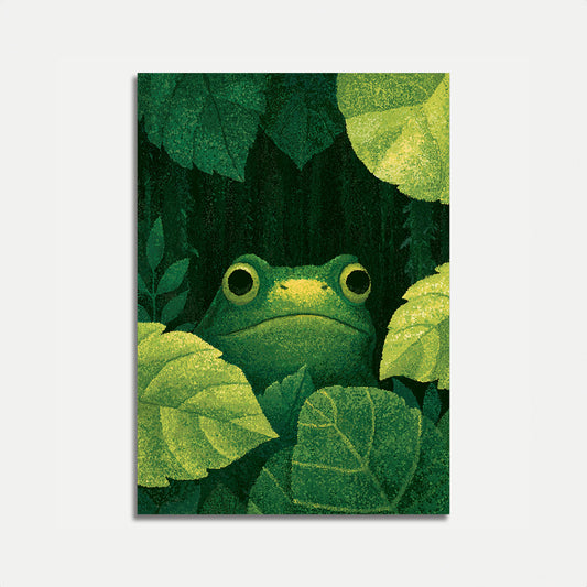 Cartaz de Sapo na Mata entre Folhas
