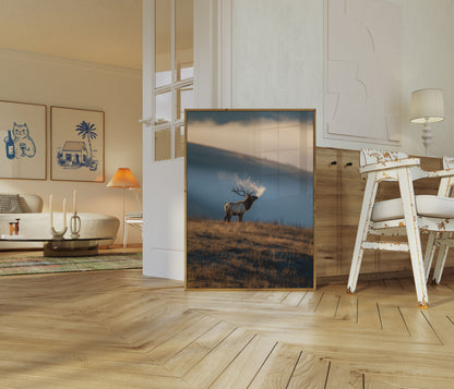 Misty Morning Elk Poster