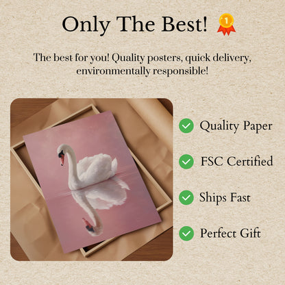 Póster elegante del cisne blanco