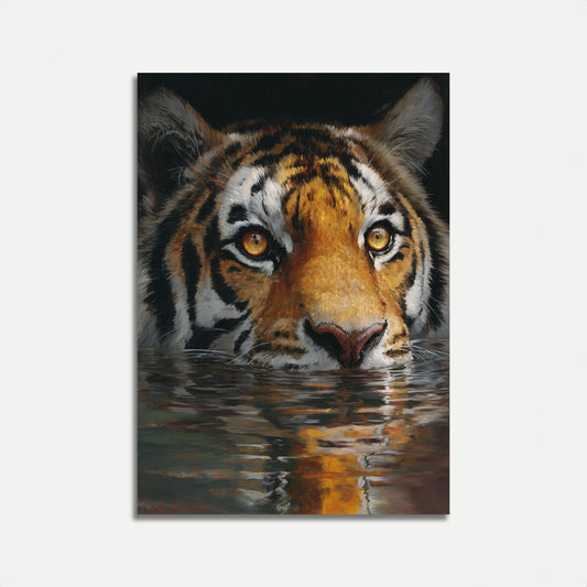 Tiger Swimming in Water Poster