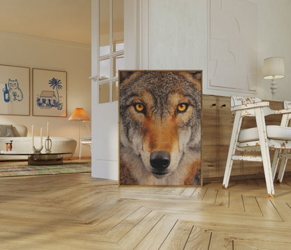 Wolf Face Golden Eyes Poster

Wolf Gezicht Gouden Ogen Poster