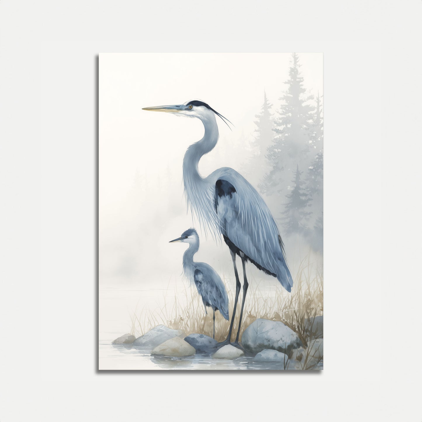 Misty Herons in Nature Poster