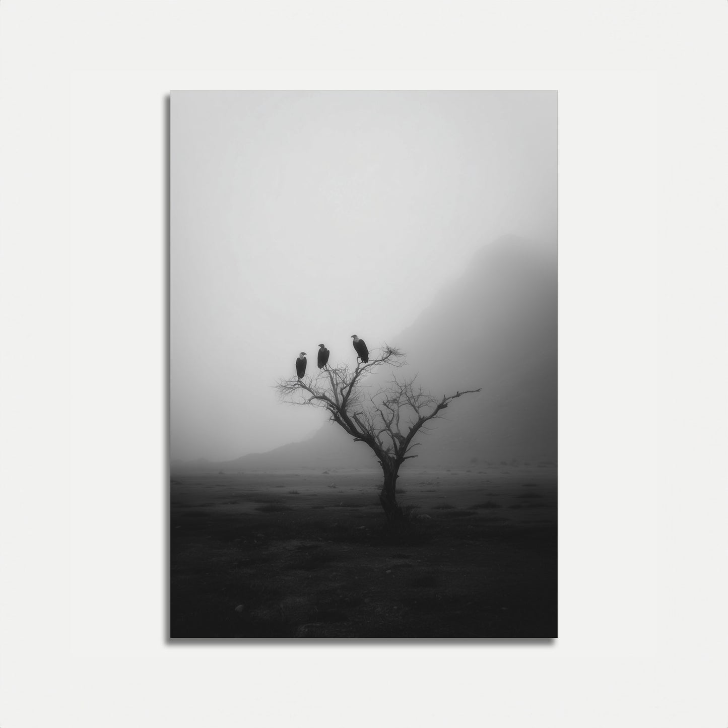 Misty Birds on Barren Tree Poster