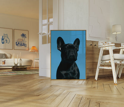 Black French Bulldog Portrait Poster