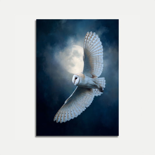 Affiche Vol du Chouette Grangère au Clair de Lune