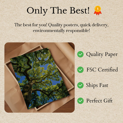 Majestic Tree Canopy Poster