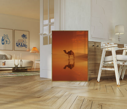 Desert Camel Golden Reflection Poster