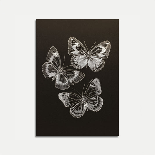 Butterfly Sketch Black White Poster