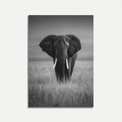 Majestic Elephant in Grasslands Poster