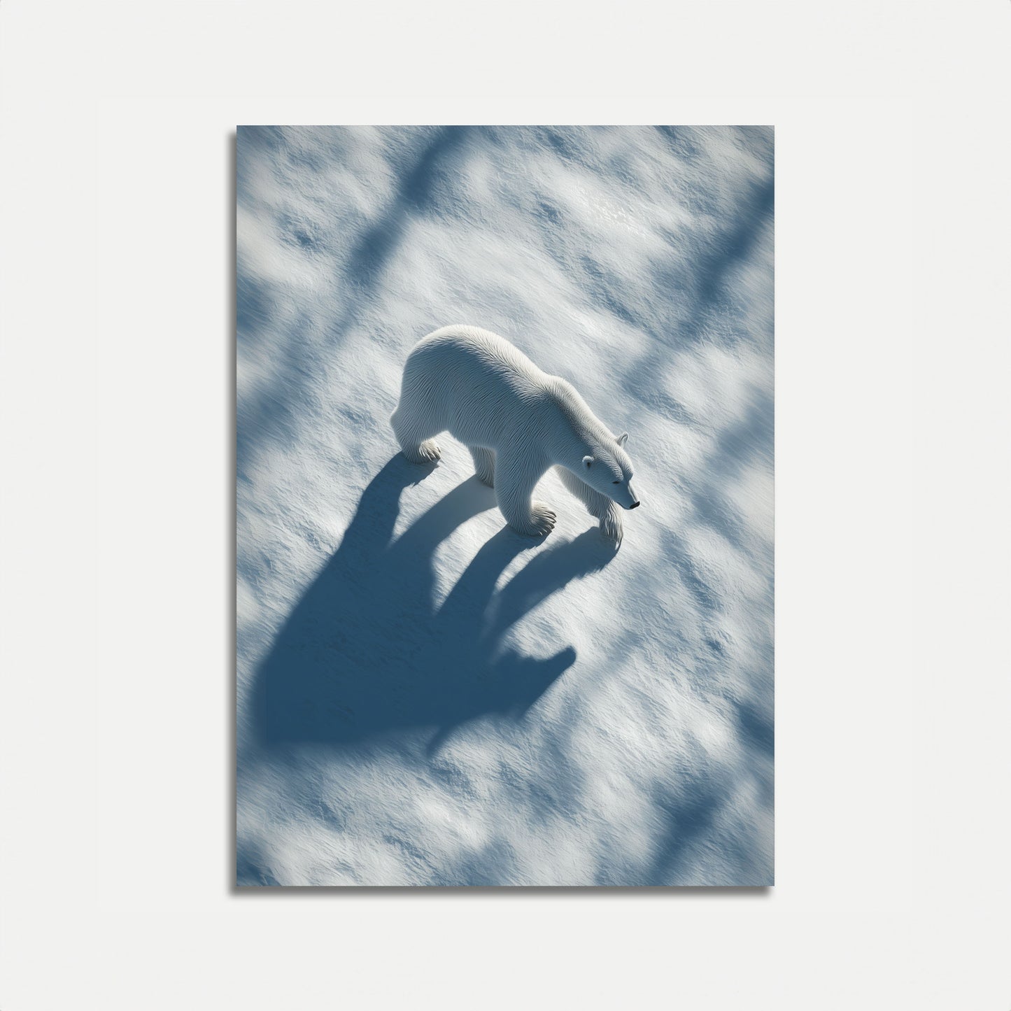 Póster de la sombra de un oso polar solitario