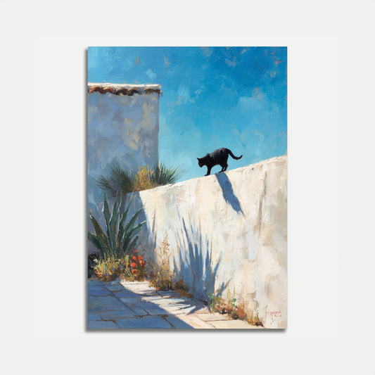 Black Cat on Whitewashed Wall Poster