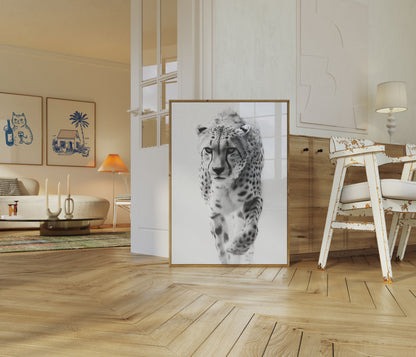 Fierce Cheetah Black and White Poster